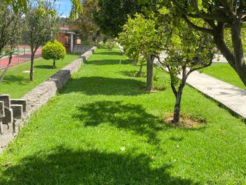 place photo 56