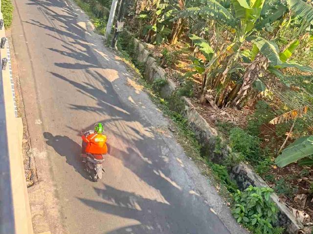 place photo 21
