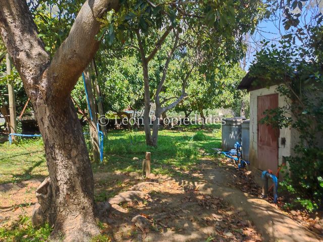 place photo 51