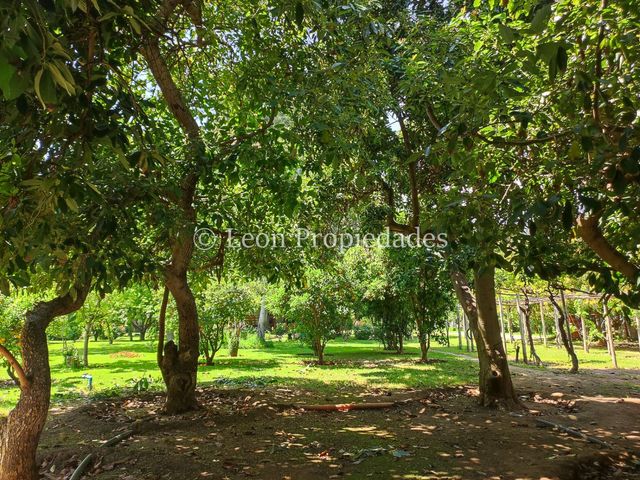 place photo 36