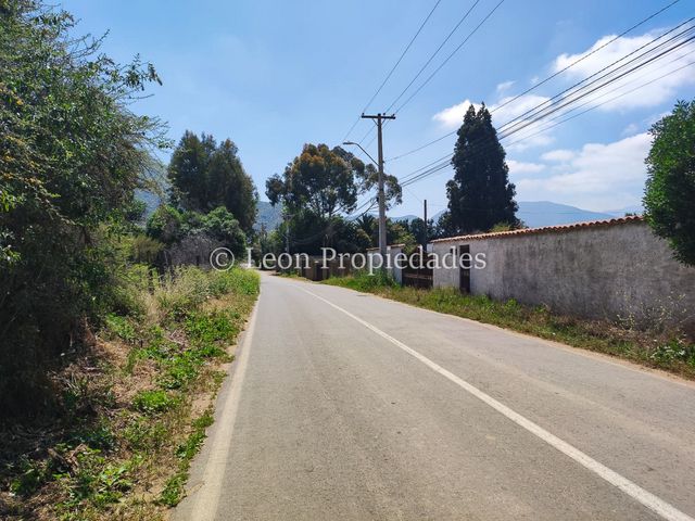 place photo 39