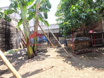 place photo 18