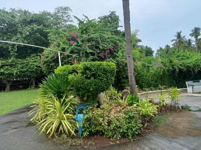 place photo 25
