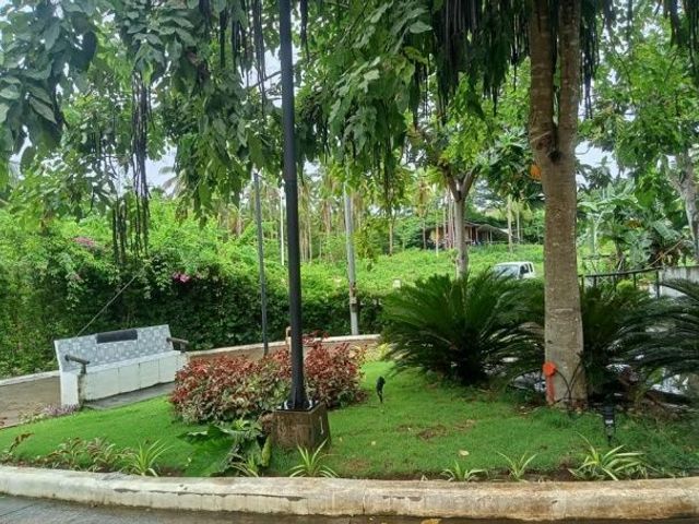 place photo 26