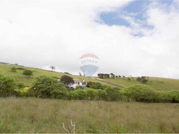 place photo 49