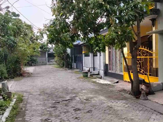 place photo 3