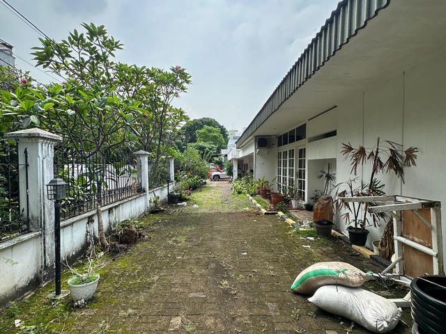 place photo 11