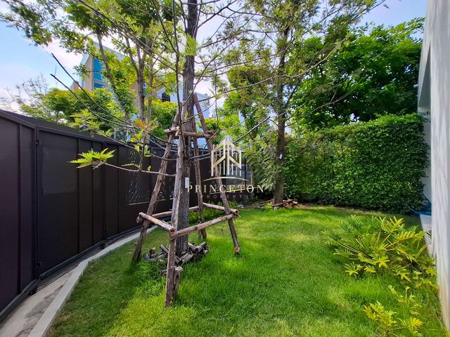 place photo 45