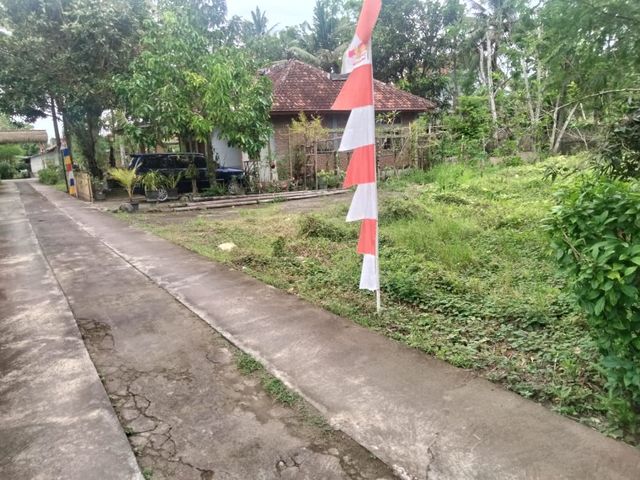 place photo 9