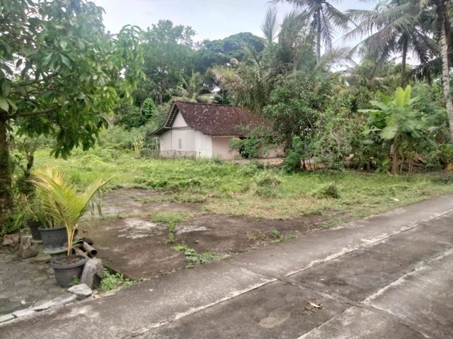 place photo 11