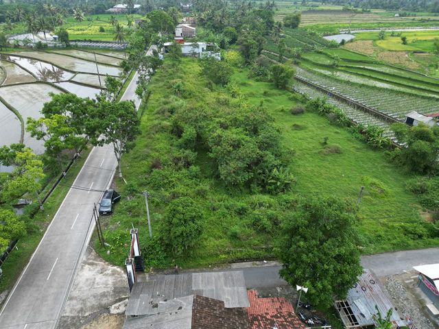 place photo 8