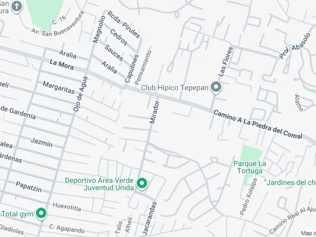 place photo 31