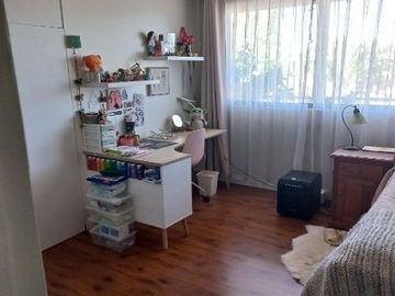 place photo 46