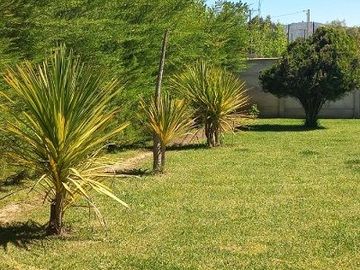 place photo 74