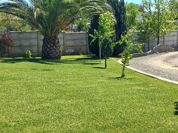 place photo 75