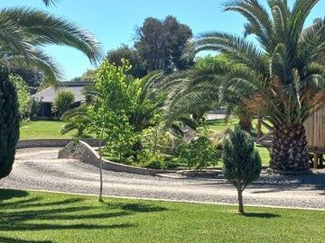place photo 76