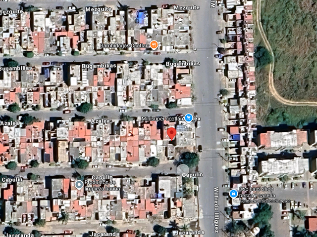 place photo 11