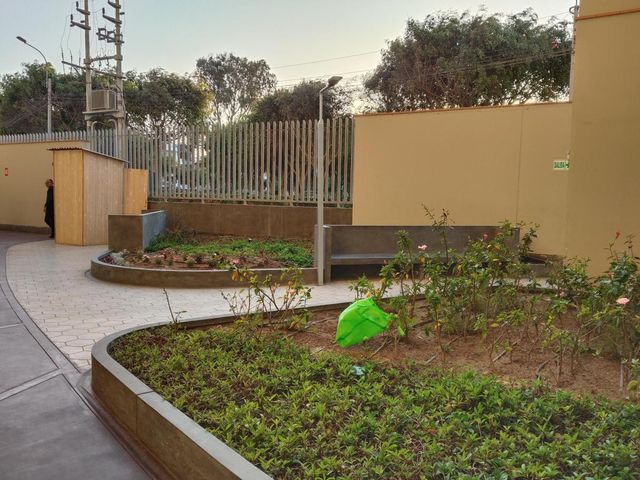 place photo 23