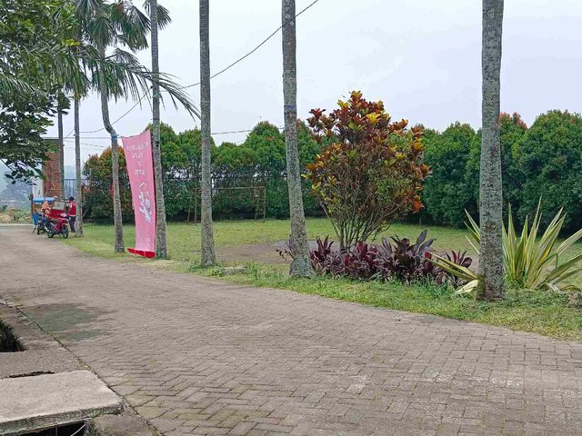 place photo 13