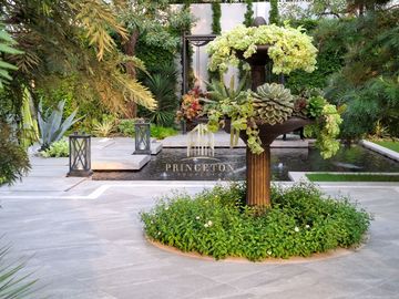 place photo 43