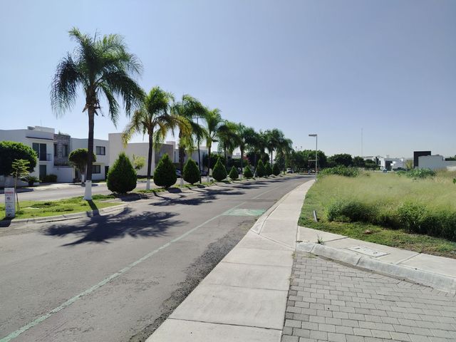 place photo 45