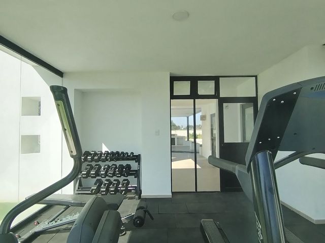 place photo 40