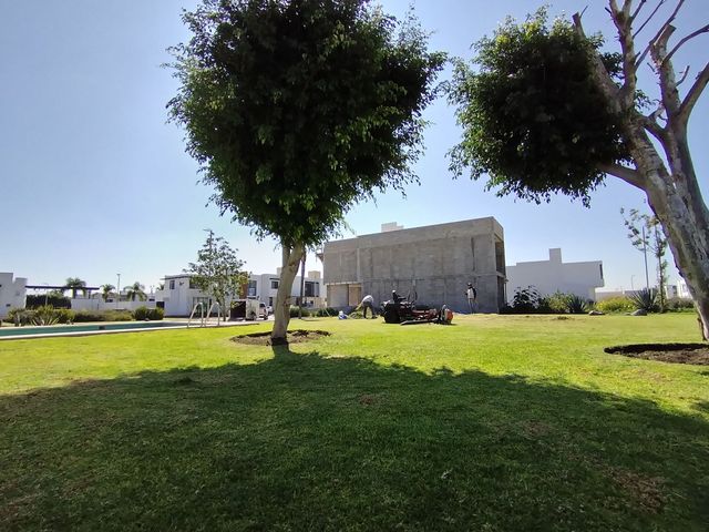 place photo 44