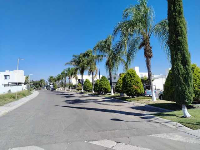 place photo 47