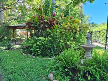 place photo 29