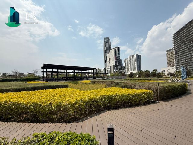 place photo 36