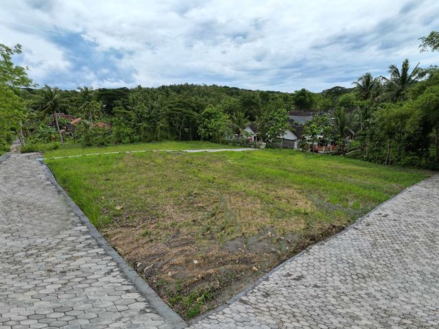 place photo 9