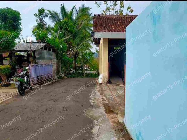 place photo 7