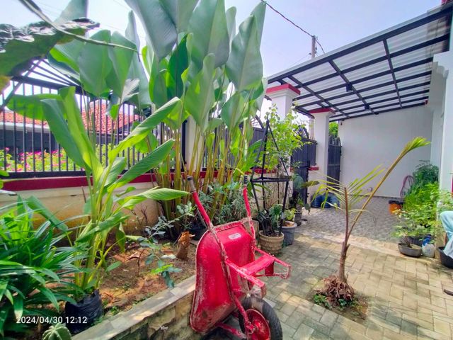 place photo 13