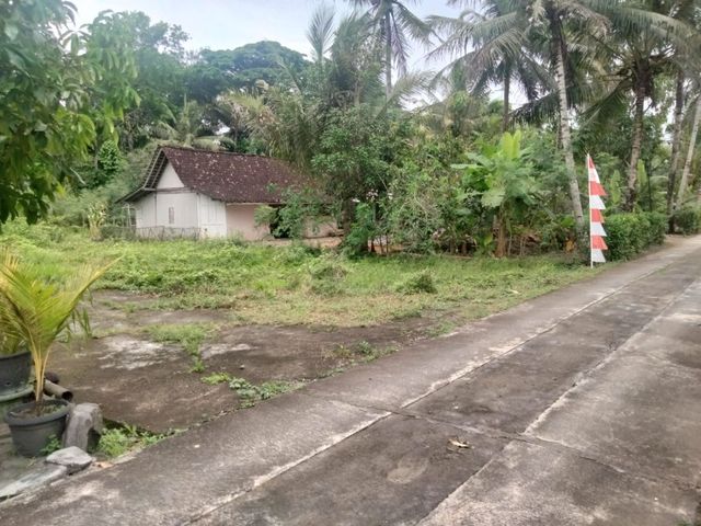 place photo 8