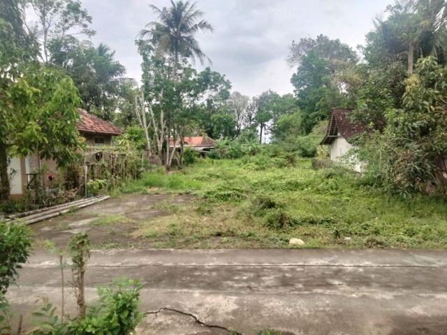 place photo 9