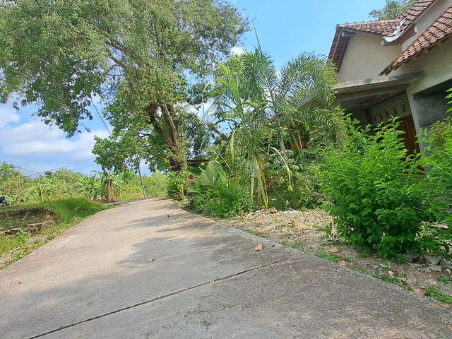 place photo 6