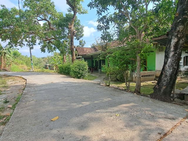 place photo 7