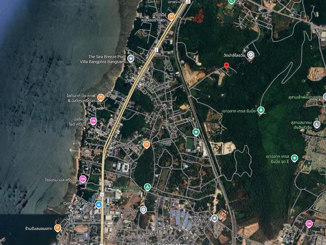 place photo 8