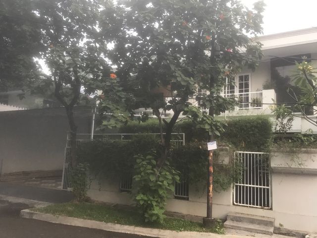 place photo 32
