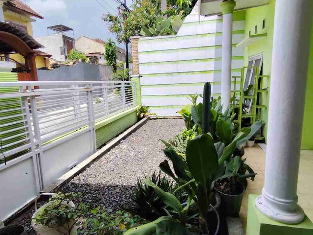 place photo 26