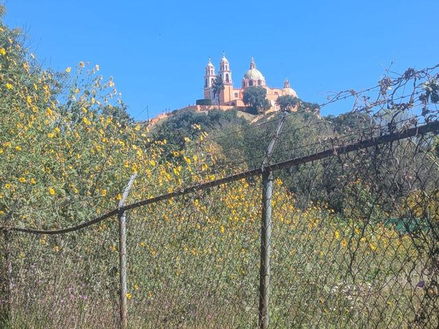 place photo 4