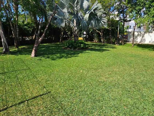 place photo 47