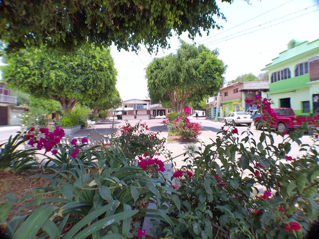 place photo 16