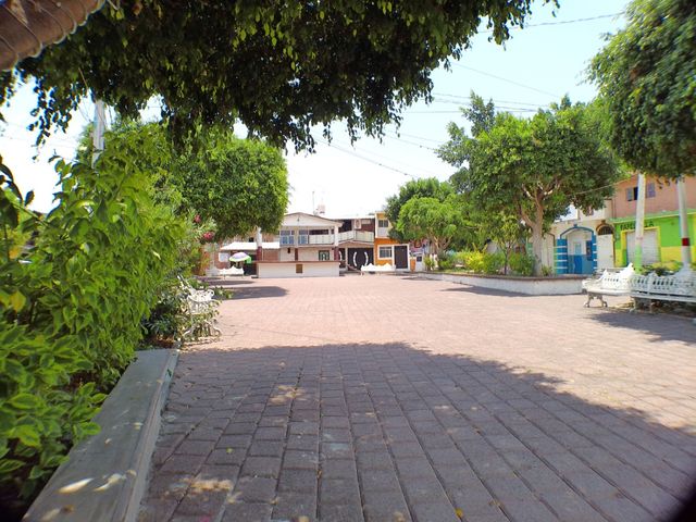 place photo 17