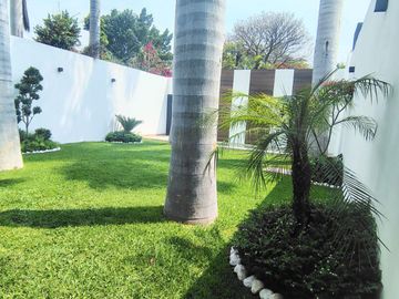 place photo 38