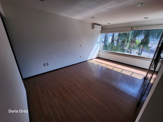 place photo 58