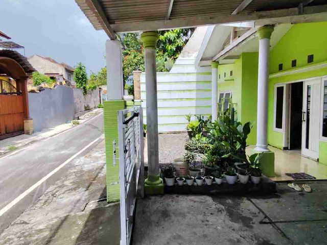 place photo 11