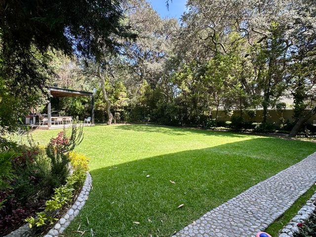 place photo 30