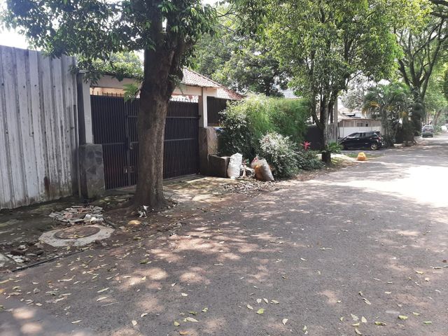 place photo 7