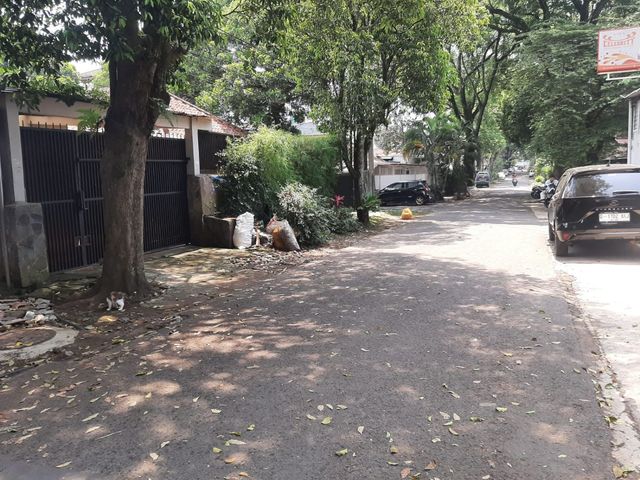 place photo 10